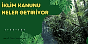 Read more about the article YENİ İKLİM KANUNU NELER GETİRİYOR?